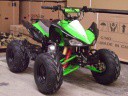 Panthera 110 ccm 499 eur s DPH